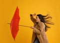 Emotional woman with umbrella caught in gust of wind on yellow background