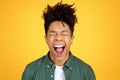 Young black man shouting out of joy, yellow background Royalty Free Stock Photo