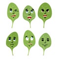 Emotions spinach. Set expressions avatar greens. lettuce leaf Go