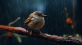 Emotive Nature-inspired Photography: Small Bird In Rain On Branch