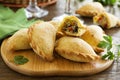 Empanadas Royalty Free Stock Photo