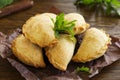 Empanadas Royalty Free Stock Photo