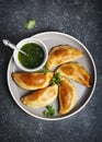 Empanadas with chimichuri sauce. Traditional Latin American cuisine