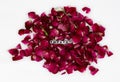 Empathy word text message with petals of roses