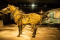 Emper Qin's Terra-cotta warriors and horses Museum Royalty Free Stock Photo