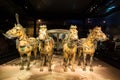 Emper Qin's Terra-cotta warriors and horses Museum Royalty Free Stock Photo