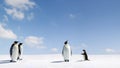 Emperor and Adelie penguins Royalty Free Stock Photo