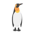 Emperor Penguin as Aquatic Flightless Bird with Flippers for Swimming in Standing Pose Vector Illustration