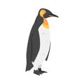 Emperor Penguin as Aquatic Flightless Bird with Flippers for Swimming in Standing Pose Vector Illustration