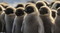 Emperor Penguin Chicks. Generative AI Royalty Free Stock Photo