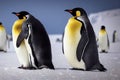 Emperor Penguin family with a fluffy baby, in snowy Antarctic, generative ai Royalty Free Stock Photo