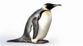 Emperor Penguin isolated on white background. Generative AI Royalty Free Stock Photo