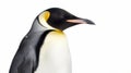 Emperor Penguin isolated on white background. Generative AI Royalty Free Stock Photo