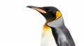 Emperor Penguin isolated on white background. Generative AI Royalty Free Stock Photo