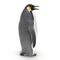 Emperor penguin. isolated on white. Side view. 3D illustration