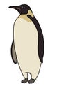 Emperor Penguin vector illustration.Penguin vector Royalty Free Stock Photo