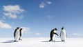 Emperor penguins Royalty Free Stock Photo