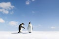 Emperor penguins Royalty Free Stock Photo