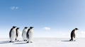 Emperor Penguins in Antarctica Royalty Free Stock Photo