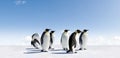 Emperor penguins in Antarctica Royalty Free Stock Photo