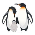 Emperor penguins flat color vector illustration
