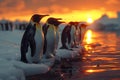 Emperor Penguins at Sunset: Arctic Serenity. Concept Nature Photography, Wildlife Portraits, Arctic
