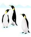 Emperor penguins on white background. Antarctic nature. Vector illustration