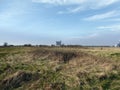 Looking to distant industrial plant over rough and wild fields Royalty Free Stock Photo