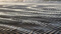 Emphasizes the patterns formed by tidal movements showcasing Royalty Free Stock Photo
