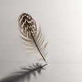 Emphasizing the contrast between the feather s intricate design and Royalty Free Stock Photo