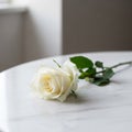 Emphasizing the simplicity and elegance of the floral arrangeme Royalty Free Stock Photo