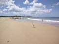 Empiral Crane on Playa Espinar Beach Aguada Puerto Rico sand trees island life clouds blue sky Royalty Free Stock Photo