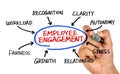 Employee engagement diagram hand drawing on whiteboard Royalty Free Stock Photo