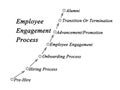 Employee Engagement Process