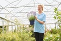 Female Employee At Garden Center Holding Lavender Plant In Green