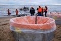 Employees of the environmental service clean up after low tide on the coast Gulf of Finland remove garbage, oil spills, harmful