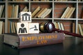 Employment law book, wooden cubes and gavel. Royalty Free Stock Photo