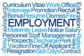 Employment Word Cloud