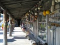 key west Emporium for souvenirs of the sea