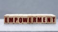 EMPOWERMENT - word on wooden bars on a gray background