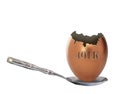 Empty 401k nest egg Royalty Free Stock Photo