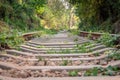 Empty abandoned railway track Royalty Free Stock Photo