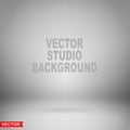 Empty gray studio background layered vector