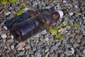 Empty Alcohol bottle brown color thrown in beach sand. Pollution of nature by thrown bottles of alcohol Royalty Free Stock Photo