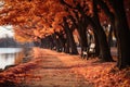 Empty alley in autumn city park