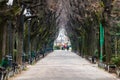 Empty alley in Cismigiu park in Bucharest, capital city of Romania