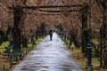 Empty alley in Cismigiu park in Bucharest, capital city of Romania