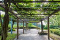 Empty alley in garden with leaves cover on roof. Royalty Free Stock Photo