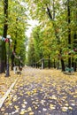 Empty alley from the main park in Pucioasa