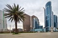 Empty alley with palm tree and modern architecture background